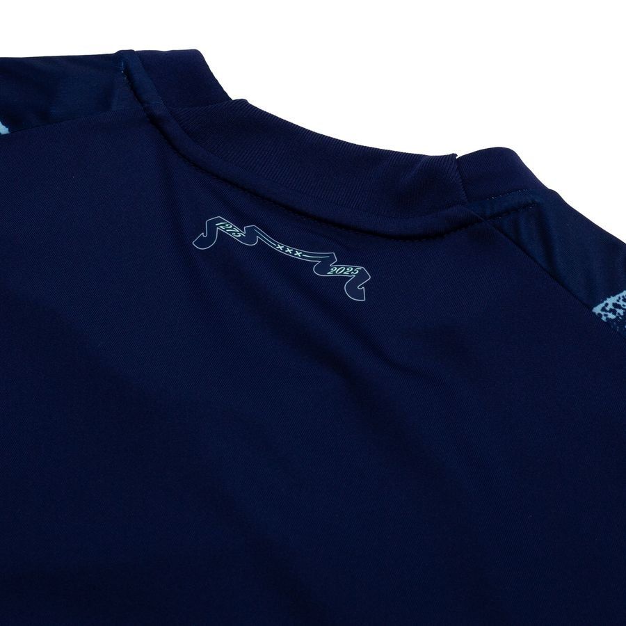 Ajax Away 2025/26 Replica Jersey Adults