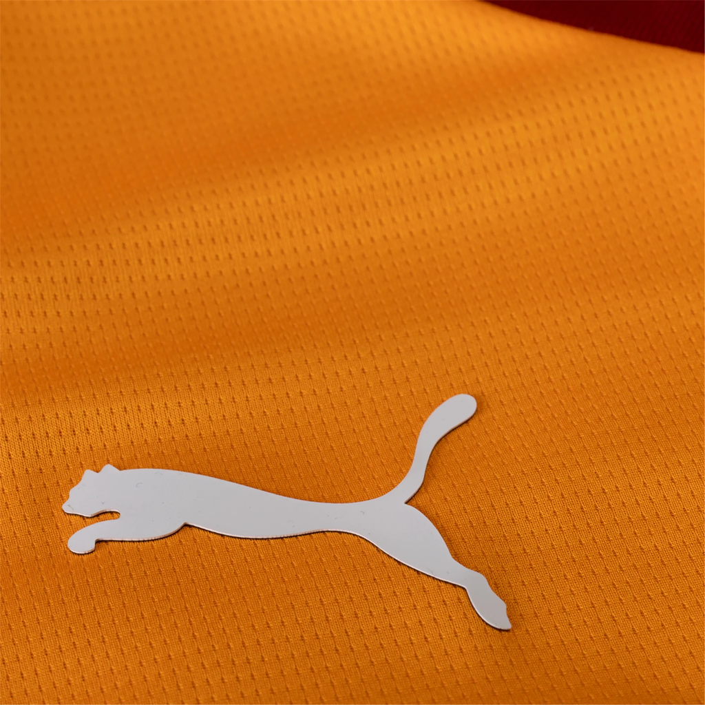 Puma Galatasaray Home Jersey 25/26 (Red Rhythm/Intense Orange)